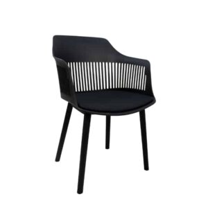 Caderia Chair