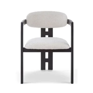 Raven Dinning Chair